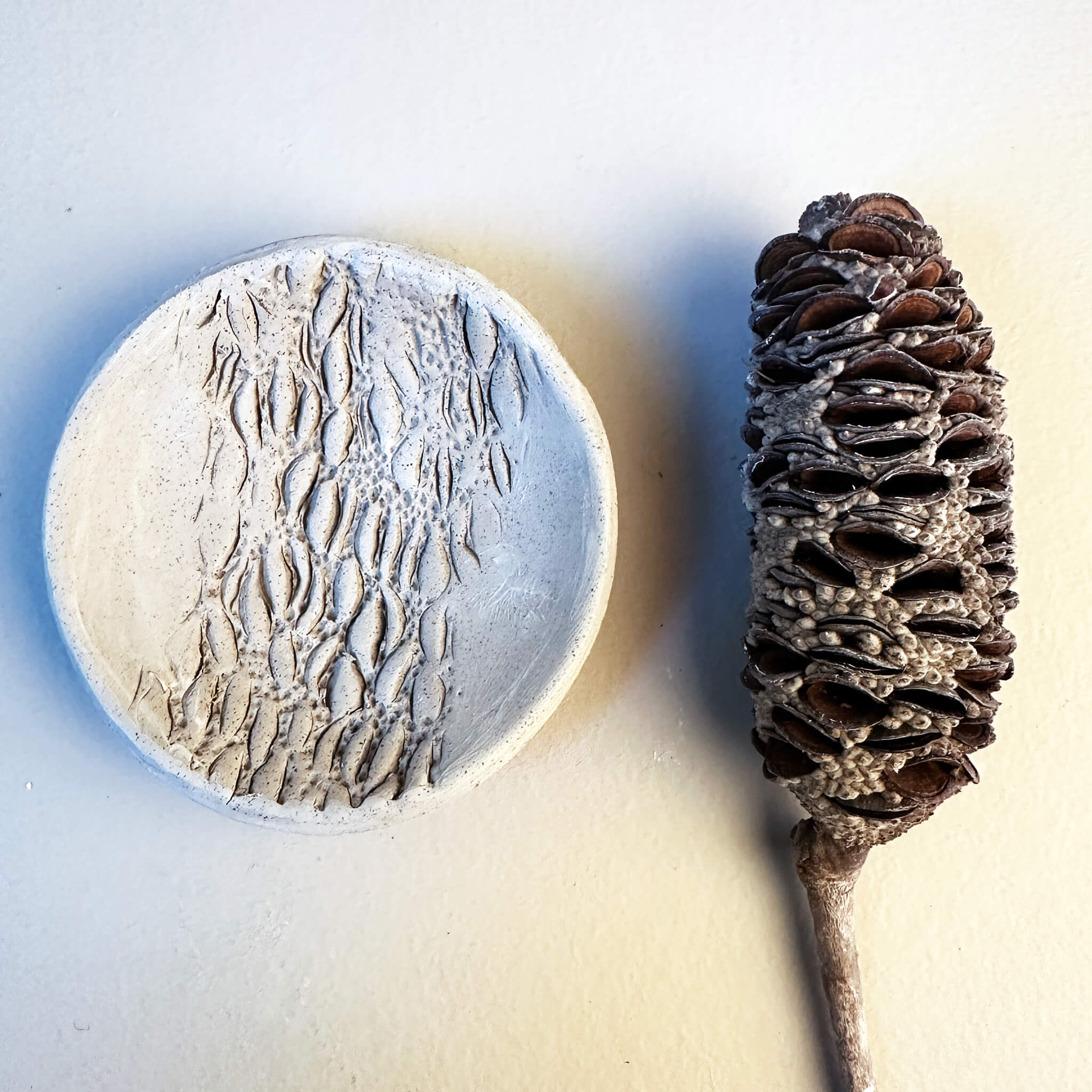 Real Banksia pod next to handmade ceramic ring dish in greenstate, showing the natural texture impression before firing, by Jester Swink