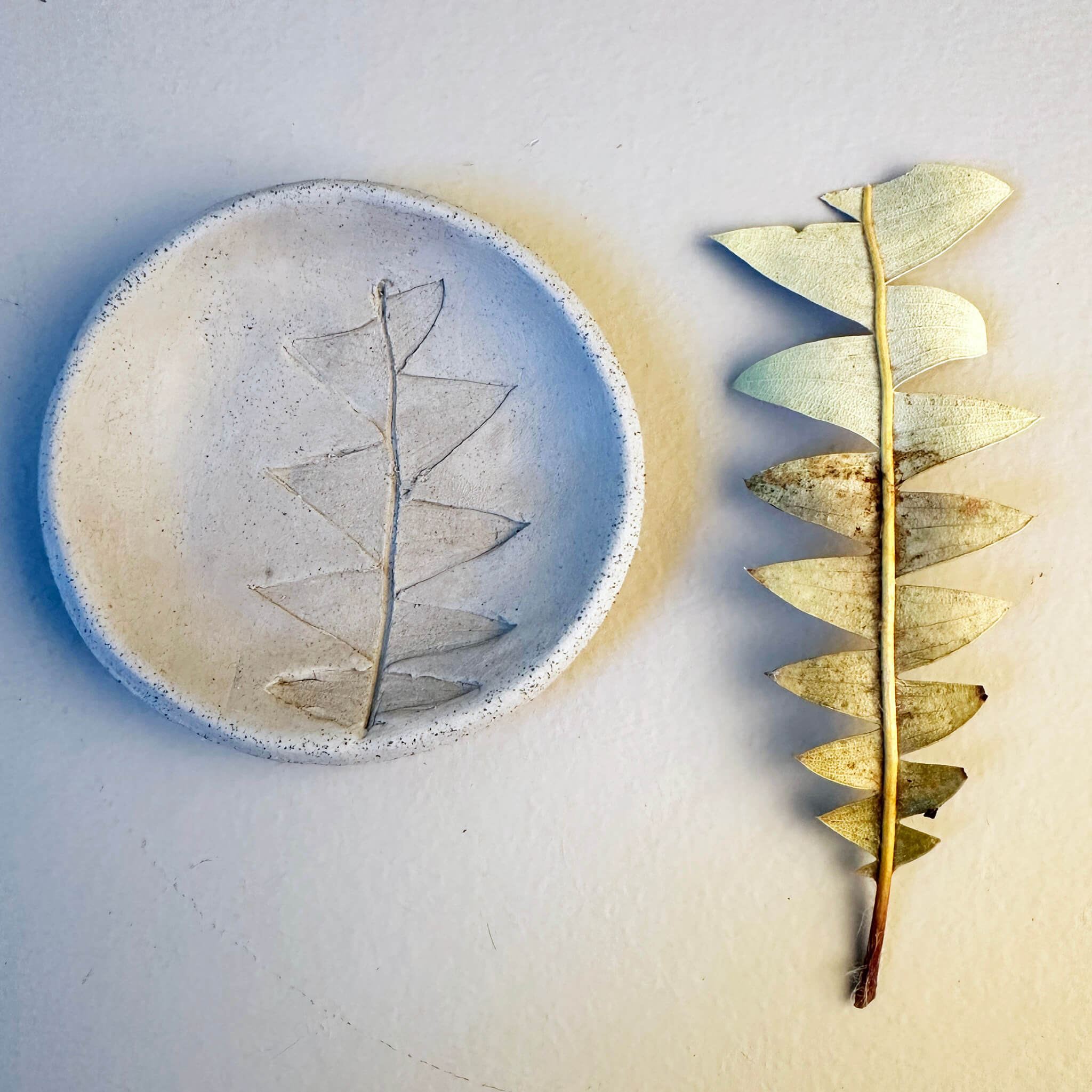 Dried protea leaf next to handmade ceramic ring dish in greenstate, showing the real leaf impression before firing, by Jester Swink